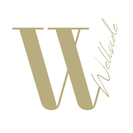 logo used on all Wellside Logo communication