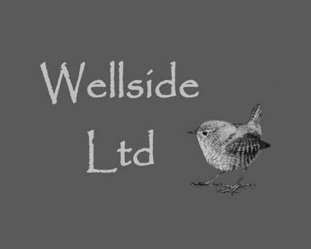 Wellside bird